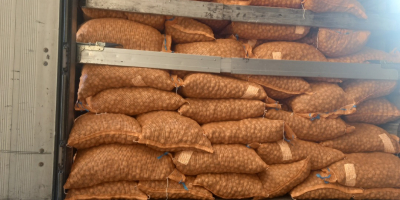 Hola, ofrecemos permanentemente nueces, salsas variadas, nueces con cáscara