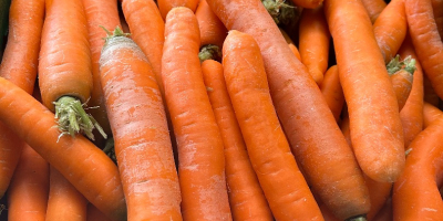Busco establecer alianzas con importadores o productores de zanahorias