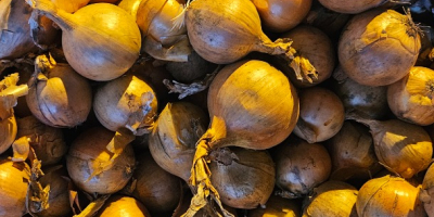 Vendo cebollas. Para más información, llame al [número de