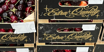 ¡Cerezas dulces en oferta! ¡Más variedades con empaques a