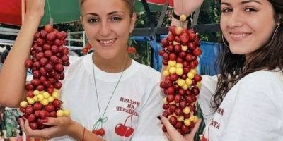 Vendo cerezas frescas de variedades tempranas, semitempranas y tardías.