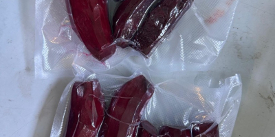 Vendo remolachas rojas alargadas de la variedad Alto, peladas