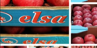 Fruta producida y envasado en españa, con global gap.
