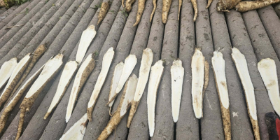 Venderé perejil 90gr/kg desde Zbytków, Silesia 25 toneladas [teléfono]