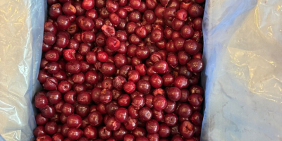 Vendo cerezas congeladas sin hueso, Clase I, 1/10 y