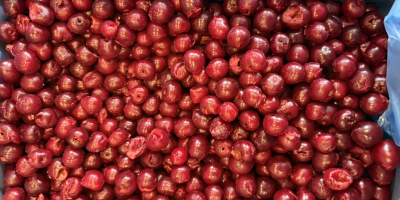 Vendo cerezas congeladas sin hueso, Clase I, 1/10 y