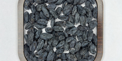 Pasas negras (secadas a la sombra) — AFI AGRO