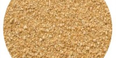 Harina de soja tostada y extraída con solventes de