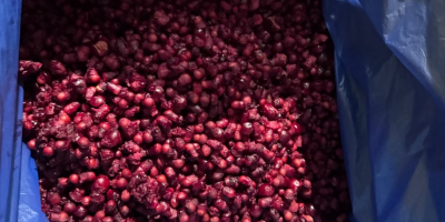 Venderé un hueso de cereza con mucha pulpa.