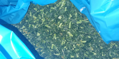 Col rizada picada congelada a la venta: ¡una ganga!