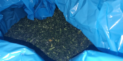 Col rizada picada congelada a la venta: ¡una ganga!