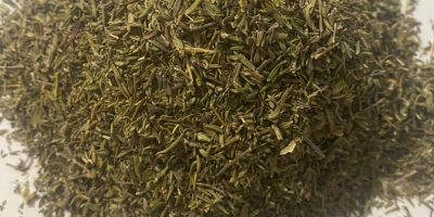 Tomillo seco de cultivo polaco. Doblemente limpio. De color