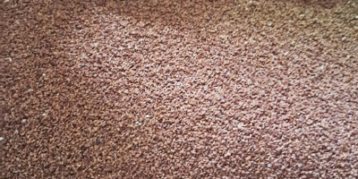Ofrezco aceite de onagra, limpio, sin fumigar, de 11