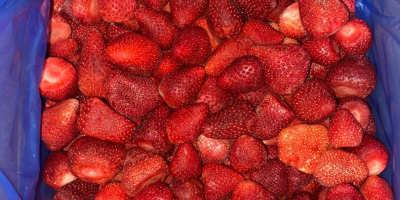 Ezar Frozen Foods Europe (una sucursal del fabricante Ezar