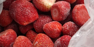 Ezar Frozen Foods Europe (una sucursal del fabricante Ezar