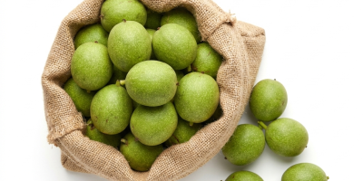 Nueces verdes frescas y jóvenes a la venta, cosecha