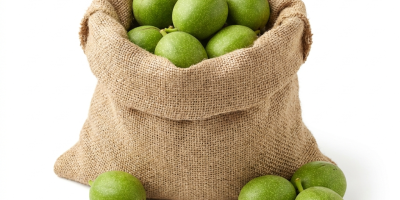 Nueces verdes frescas y jóvenes a la venta, cosecha