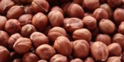 Avellanas, calibradas 11–13 mm, tostadas intensamente Precio: 52,29 PLN/kg,