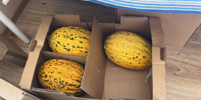 Estimados amigos de todo el mundo/ queremos vender nuestro