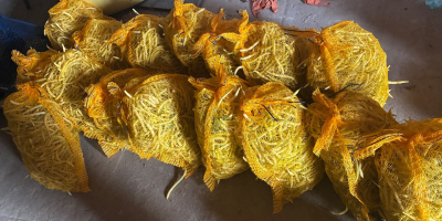 Se venden diversas cantidades de frijoles.