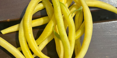 Se venden diversas cantidades de frijoles.