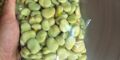 Venderé habas envasadas en bolsas de 500 g, selladas,
