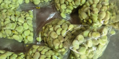 Venderé habas envasadas en bolsas de 500 g, selladas,
