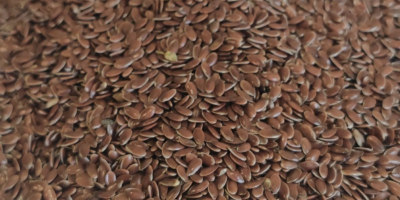 Agrotime Ltd. prevé ofrecer aproximadamente 600 toneladas métricas de