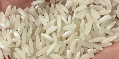 Arroz blanco de grano largo con un 5% de