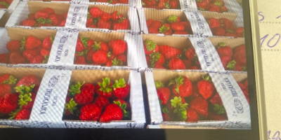 Fresas de San Andrés recién hechas. Muy ricas. Tel.