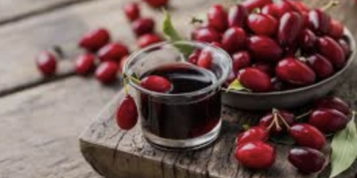 Les invito a adquirir bayas de cornejo. Este fruto