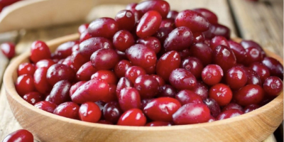 Les invito a adquirir bayas de cornejo. Este fruto