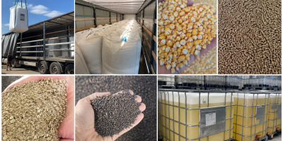 PRODUCTOS AGRÍCOLAS DE UCRANIA – COLABORACIÓN CONTINUA Buscamos importadores