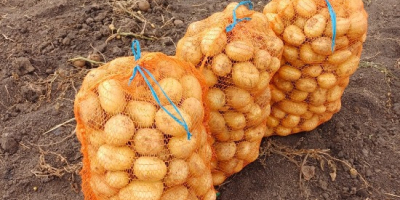 Vendo papas de consumo, Carrera y Bellarosa, sanas, seleccionadas