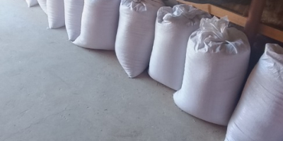 Hola, tengo avena de la cosecha de este año