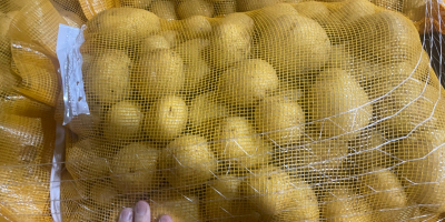 Patatas Agria, lavadas/sin lavar, origen Holanda. Envase: sacos de