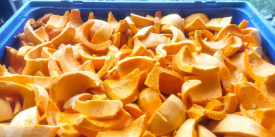 Venderé calabazas de la variedad Otylia, enteras o cortadas