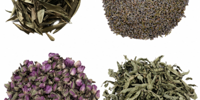 Hierbas orgánicas y convencionales. Ofrecemos menta piperita, hierbabuena, escaramujo,