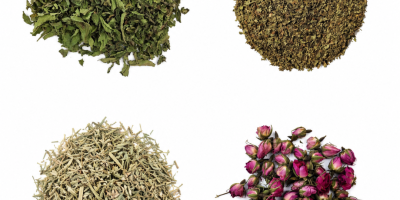 Hierbas orgánicas y convencionales. Ofrecemos menta piperita, hierbabuena, escaramujo,
