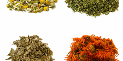 Hierbas orgánicas y convencionales. Ofrecemos menta piperita, hierbabuena, escaramujo,