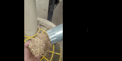 Estoy comprando lima de grano único. Cantidad aproximada de