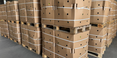 Venderé sandías en cajas de cartón, en cantidades para