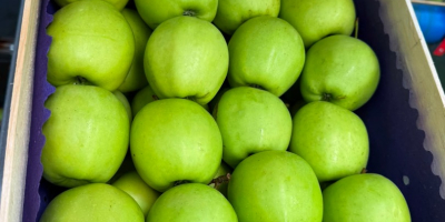 Vendemos manzanas Gala Golden Pinova Jonaprince Jonagored Idared Najdared