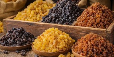 PASAS PREMIUM — VENTA AL POR MAYOR Y EXPORTACIÓN