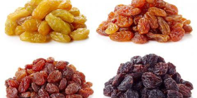 PASAS PREMIUM — VENTA AL POR MAYOR Y EXPORTACIÓN