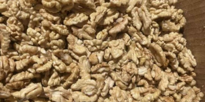 Nueces rumanas – 20 TM/mes Ofrecemos nueces rumanas de