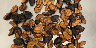 Ofrecemos trozos de ciruela liofilizados, producidos por una empresa