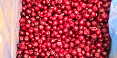 Cerezas ácidas deshuesadas ultracongeladas, envase de cartón de 10
