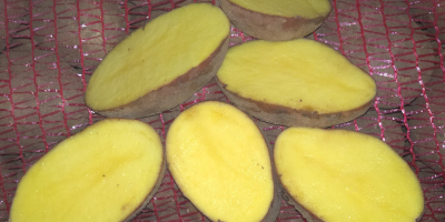 **PATATAS A LA VENTA – BELLAROSA Y CARRERA** Papas