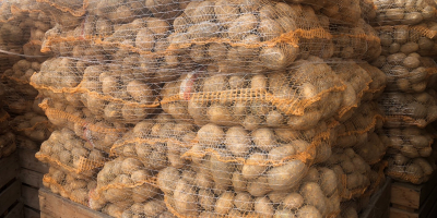 Ofrecemos patatas amarillas de calibre 45+, aptas para lavar.